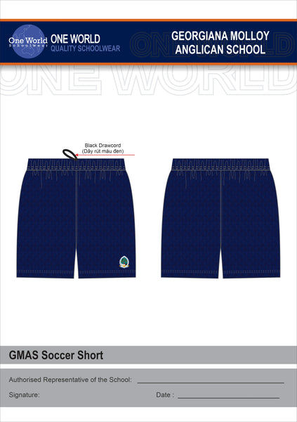 Soccer Shorts (NEW)